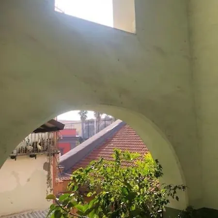 Apartmán Domus Museum *