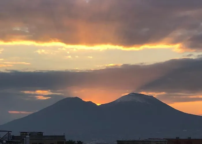 Domus Museum Apartman